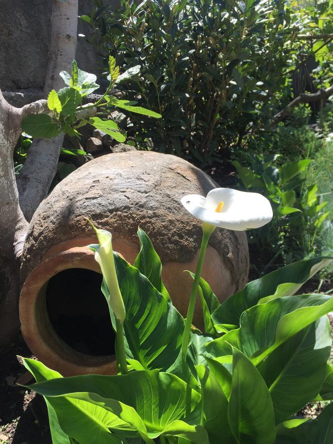 Отель My Garden Тбилиси Экстерьер фото
