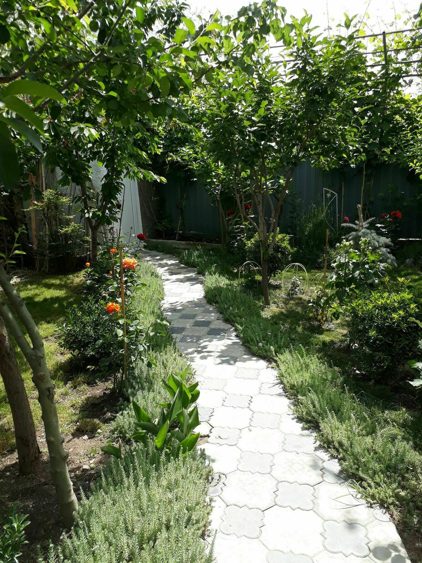 Отель My Garden Тбилиси Экстерьер фото