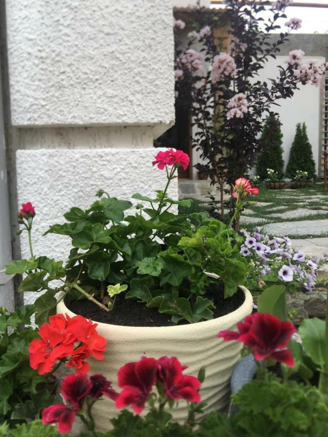 Отель My Garden Тбилиси Экстерьер фото