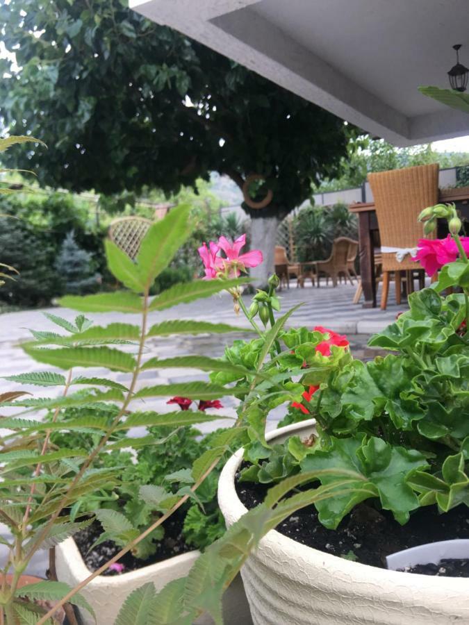 Отель My Garden Тбилиси Экстерьер фото