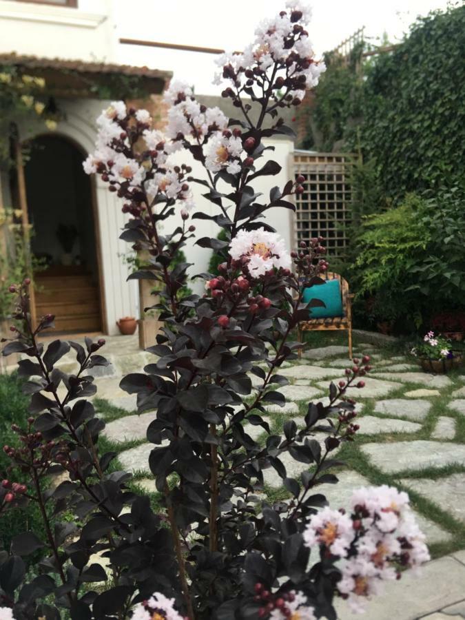 Отель My Garden Тбилиси Экстерьер фото